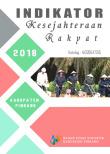 Indikator Kesejahteraan Rakyat Kabupaten Pinrang 2017