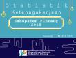 Statistik Ketenagakerjaan Kabupaten Pinrang 2018